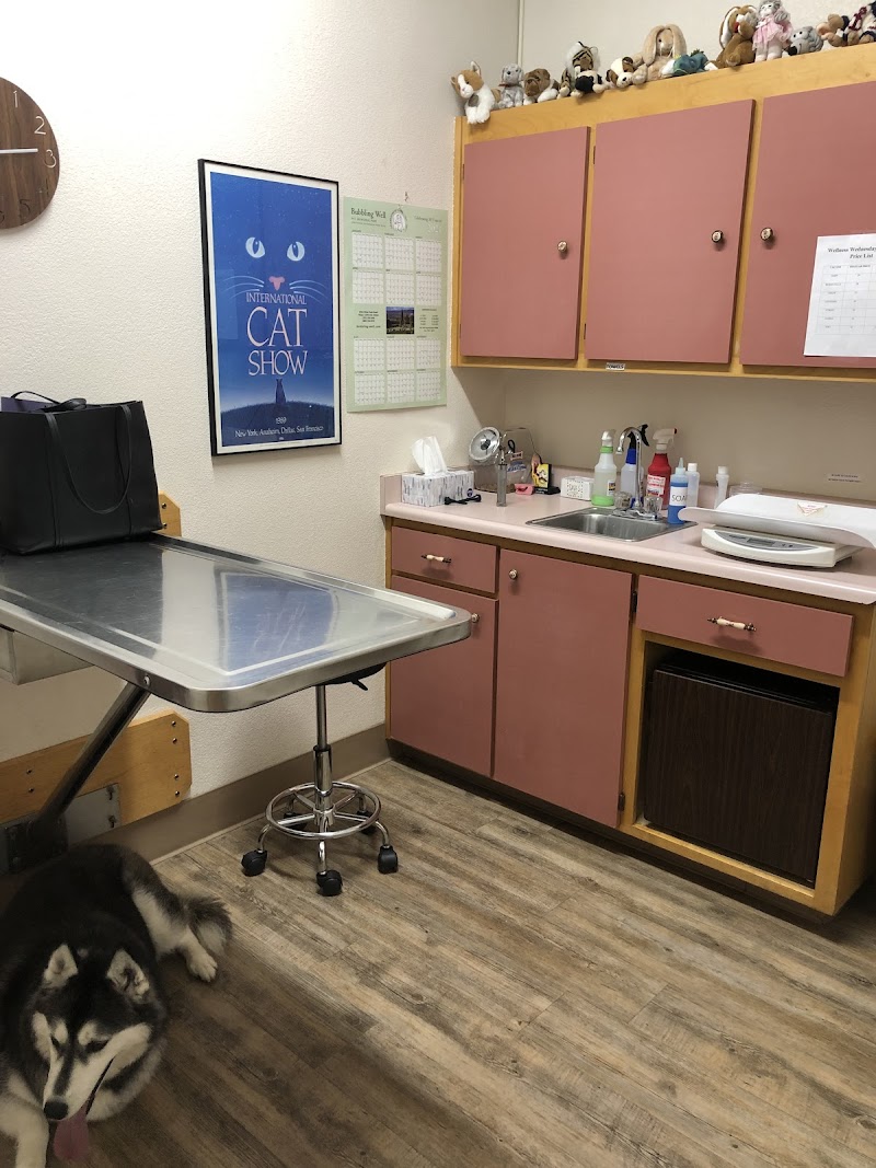 Photo of Family Pet Hospital