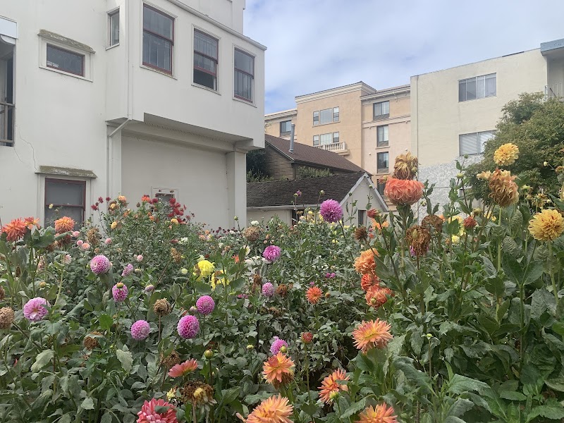 Photo of San Leandro Dahlia Garden