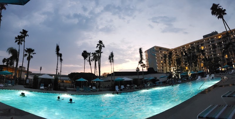Town and Country Resort photo 3