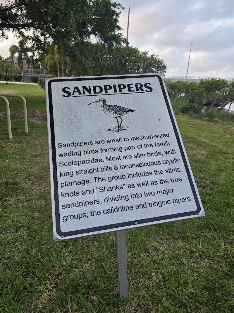 City of Belleair Beach photo 5