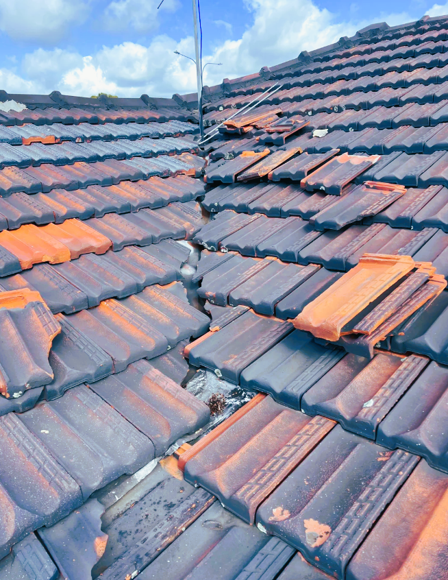 David & Sons Cotati Roofing photo 2