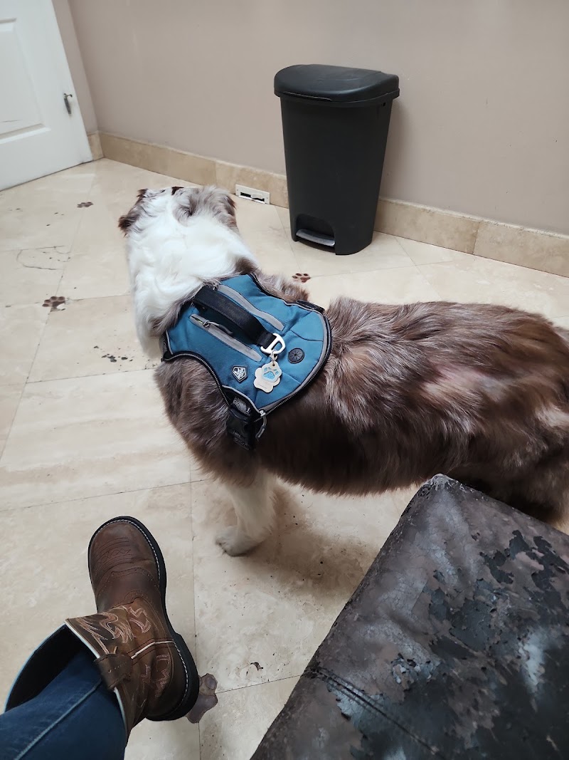 Photo of Fish Hawk Animal Clinic