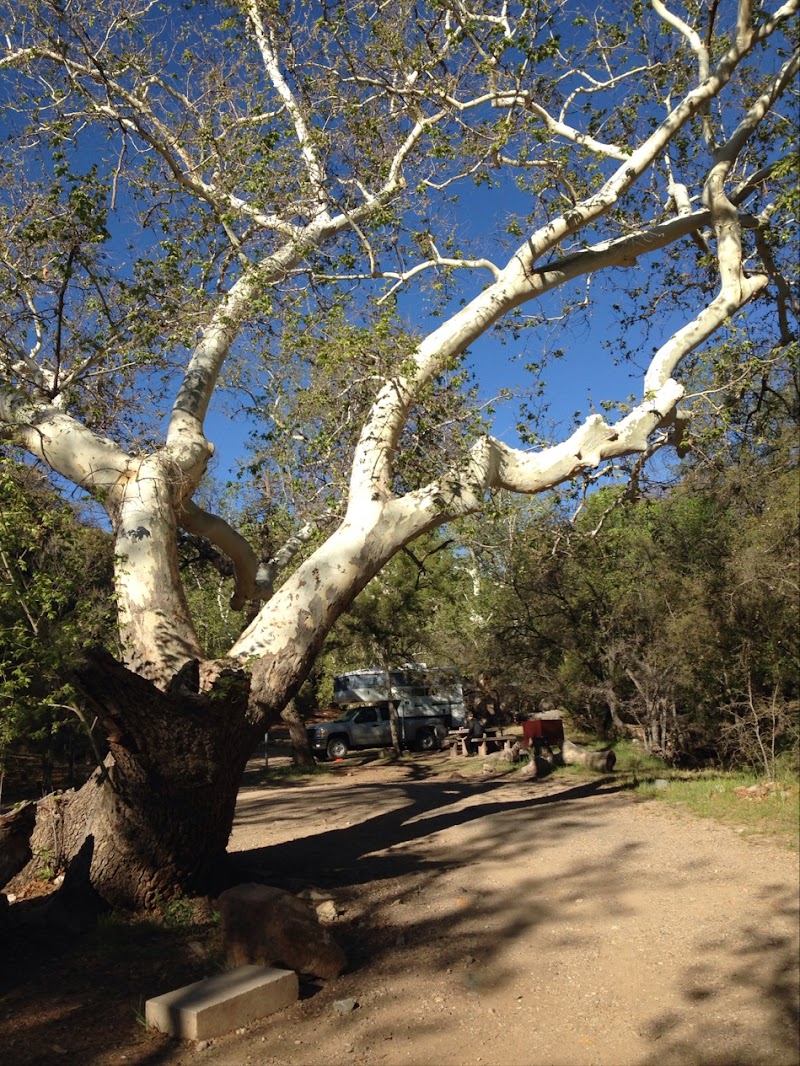 Peppersauce Campground photo 5