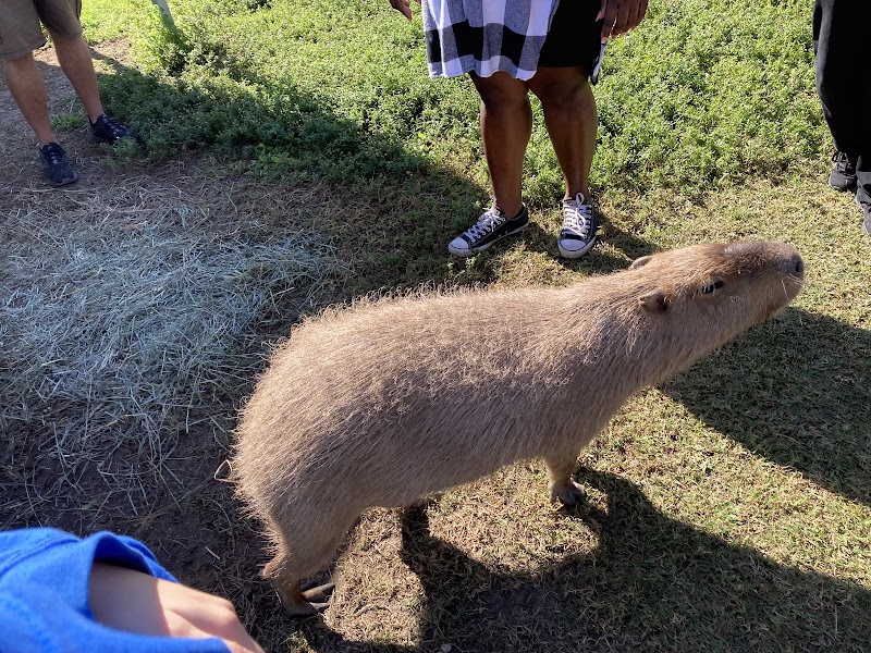 Exotic Animal Experience photo 3