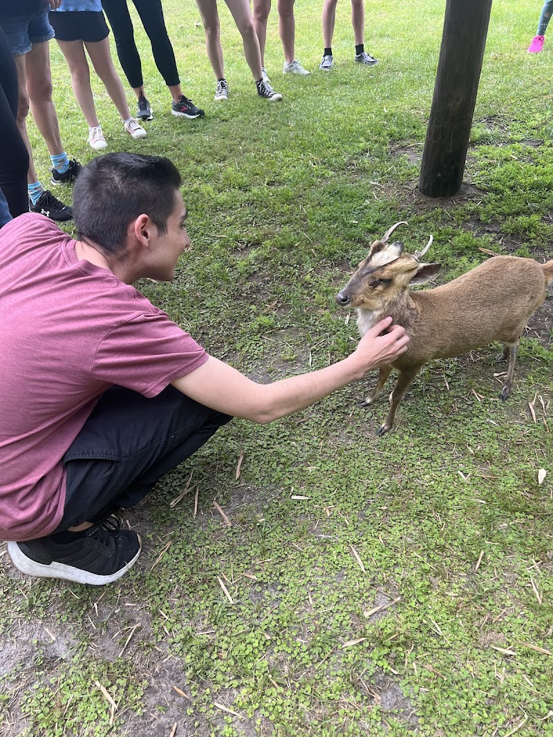 Exotic Animal Experience photo 4
