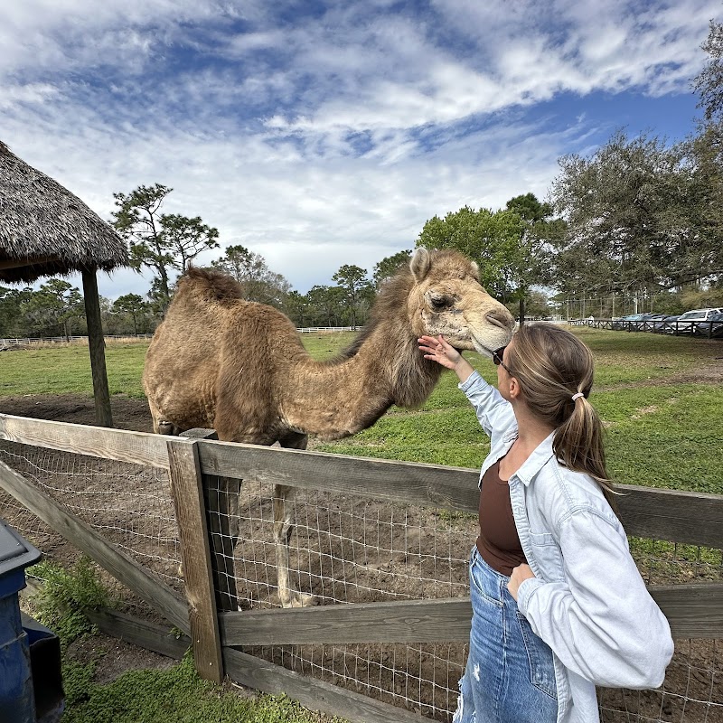 Exotic Animal Experience photo 2