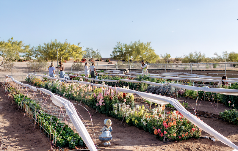 Photo of Rural Stems Flower Farm
