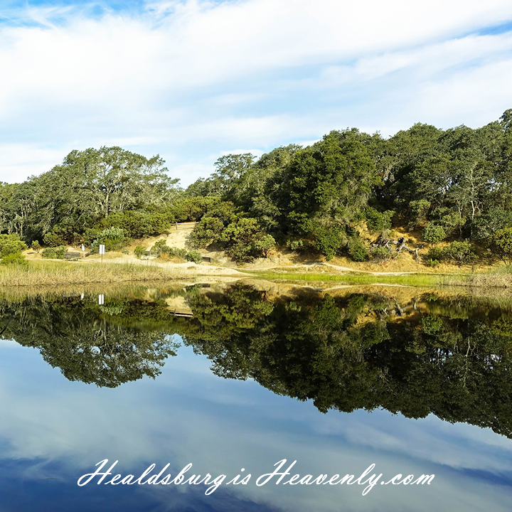 Healdsburg Is Heavenly photo 3