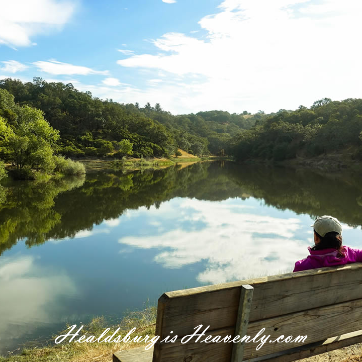 Healdsburg Is Heavenly photo 4