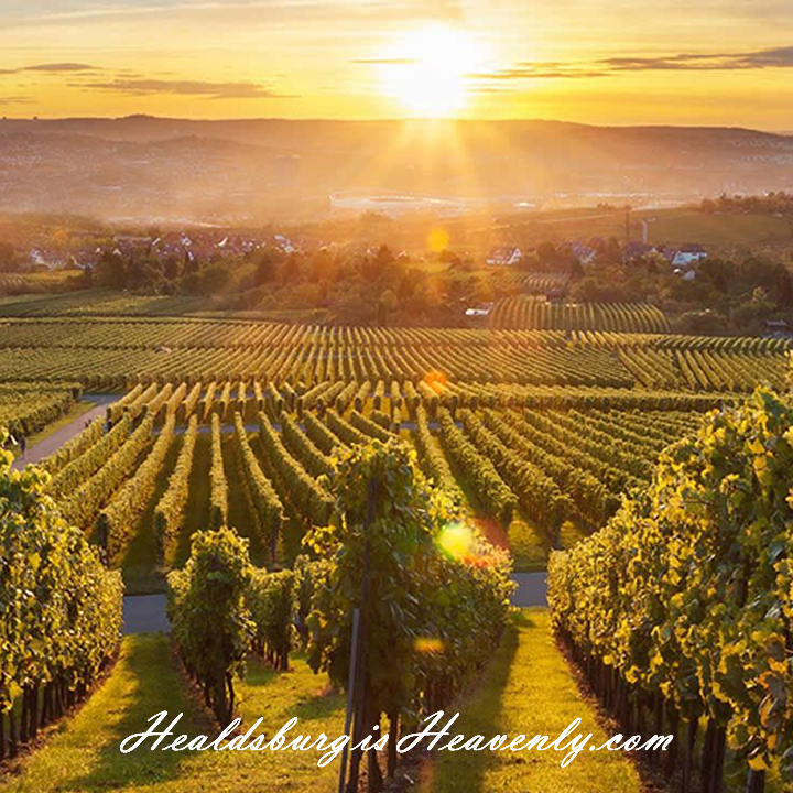 Photo of Healdsburg Is Heavenly