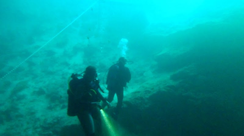 Nauti Dawg Scuba photo 4