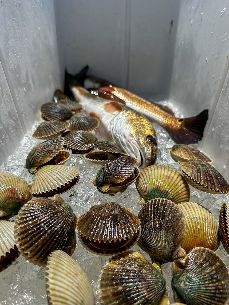 Reel Addict Fishing Charters LLC photo 5