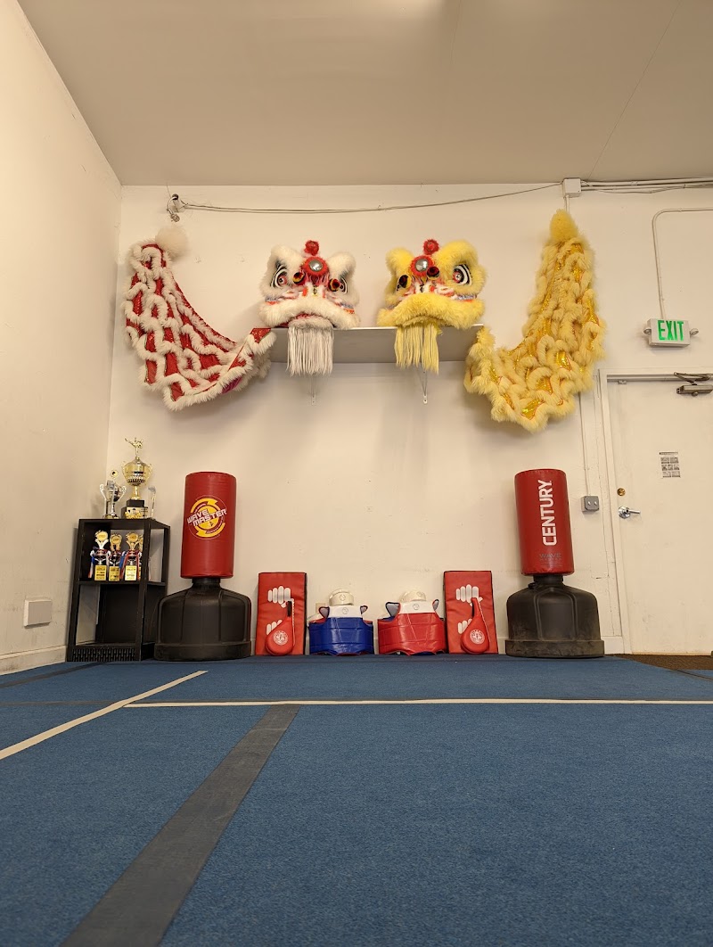 Champion Wushu & Art Center photo 5