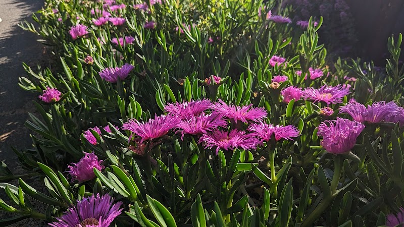 Garden of Preschool photo 3