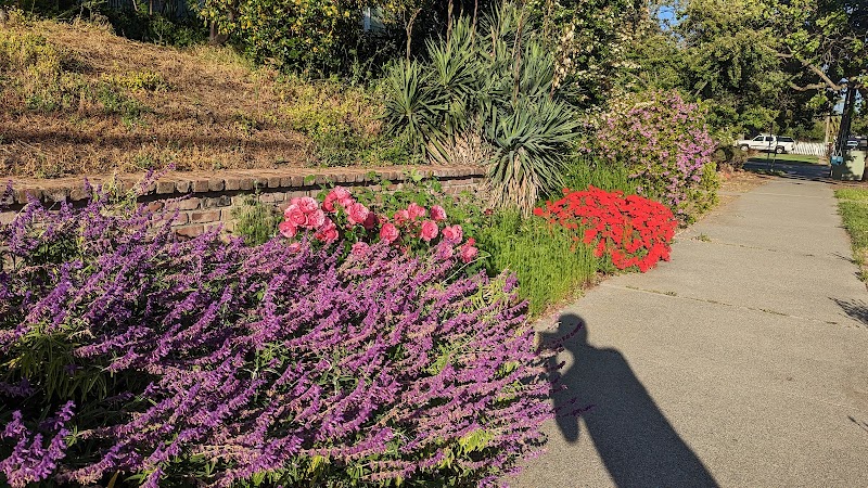Garden of Preschool photo 2