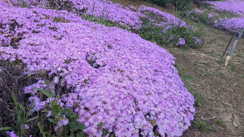 Photo of Garden of Preschool