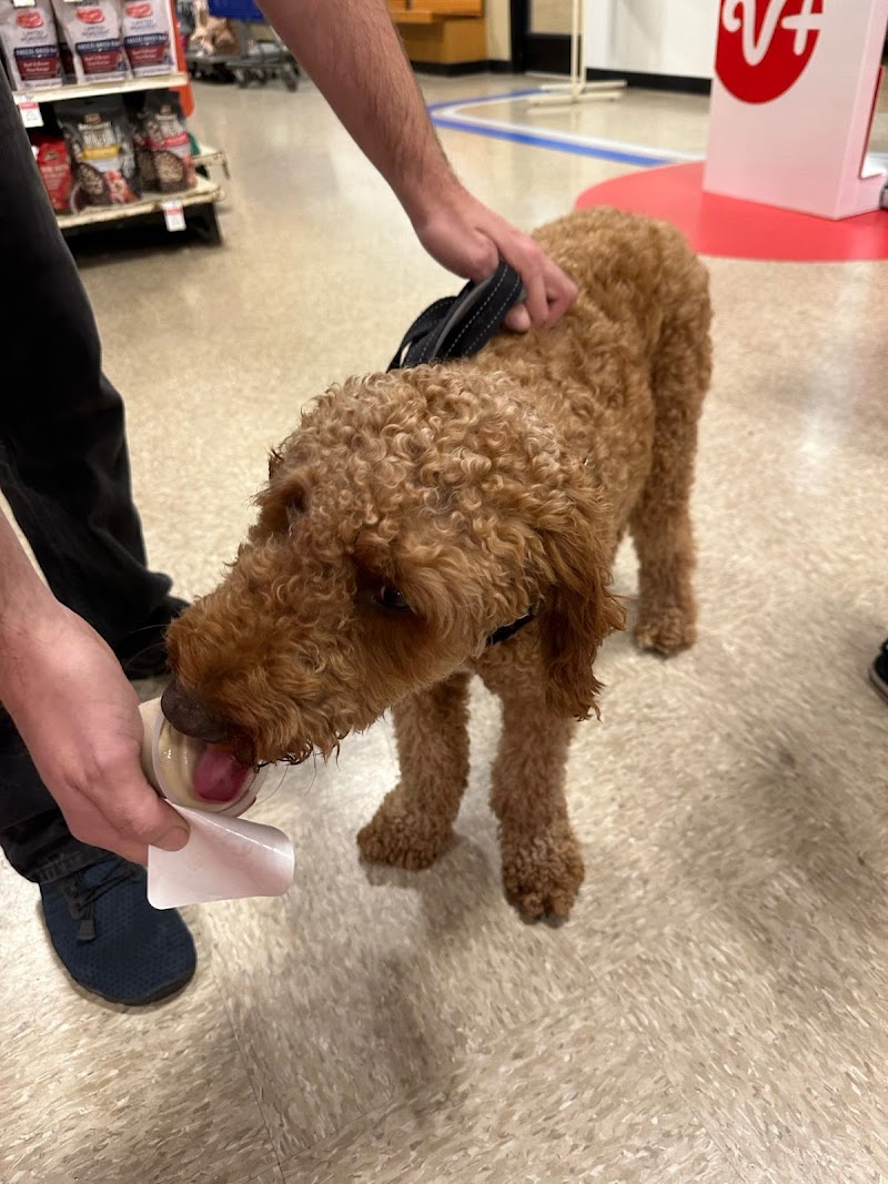 PetSmart Veterinary Services - Wesley Chapel (New Tampa) photo 5