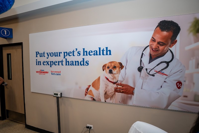 PetSmart Veterinary Services - Wesley Chapel (New Tampa) photo 3