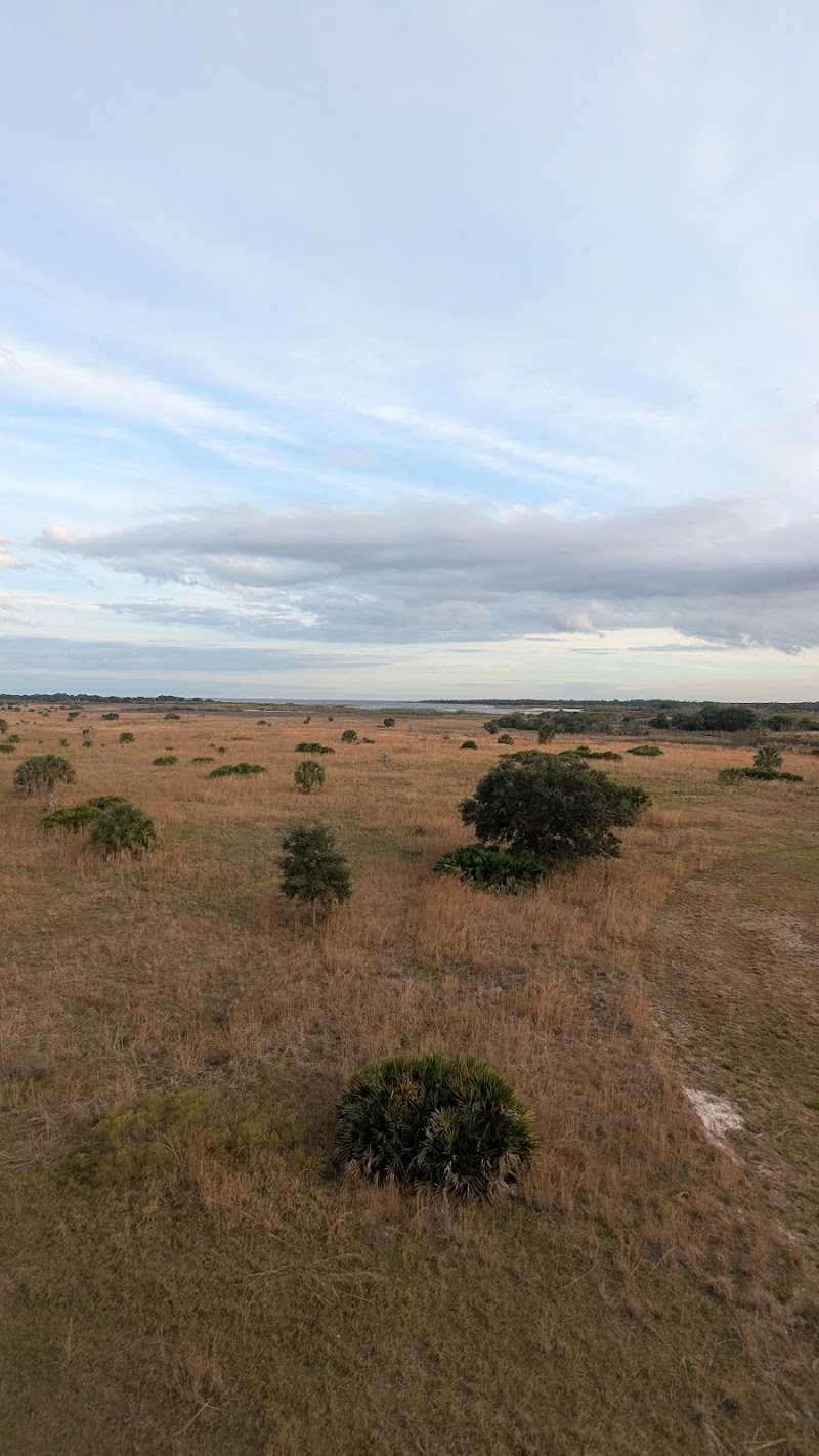 Lookout Tower photo 2