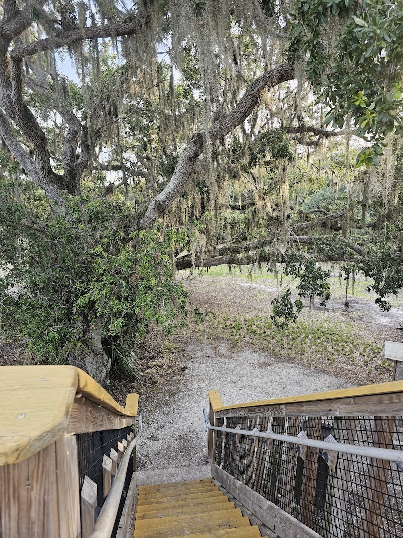 Lookout Tower photo 4