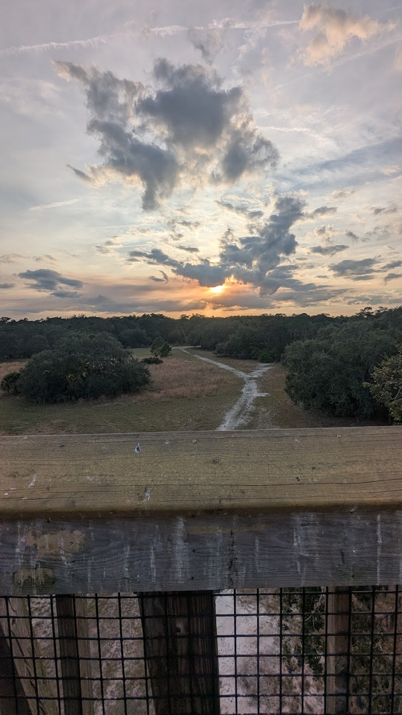 Lookout Tower photo 5
