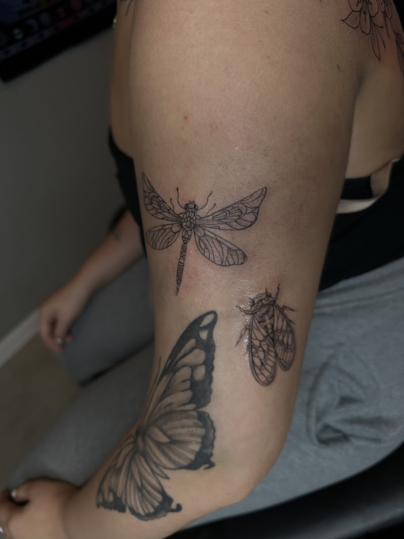 The Tattoo Haven photo 3
