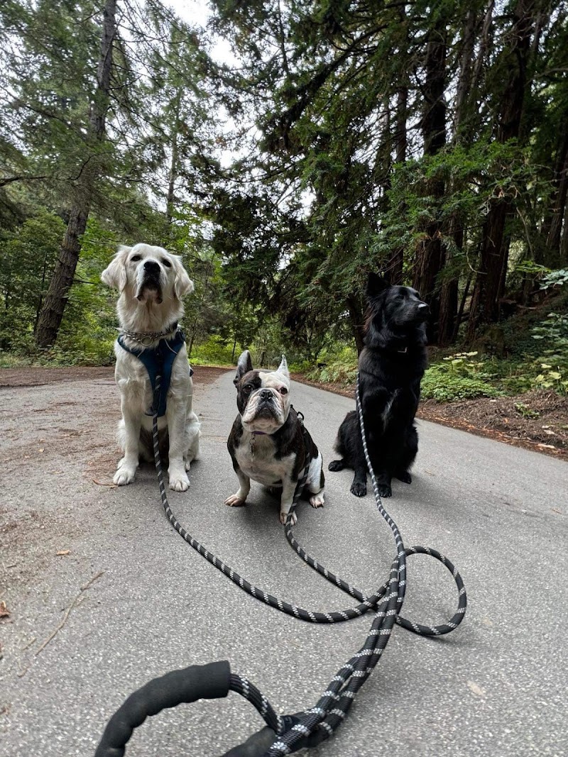 Photo of Peninsula Tails on Trails
