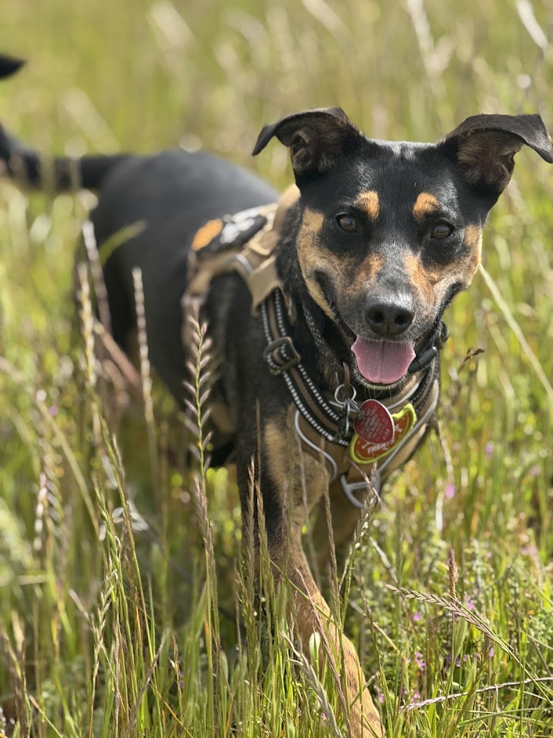 Peninsula Tails on Trails photo 5