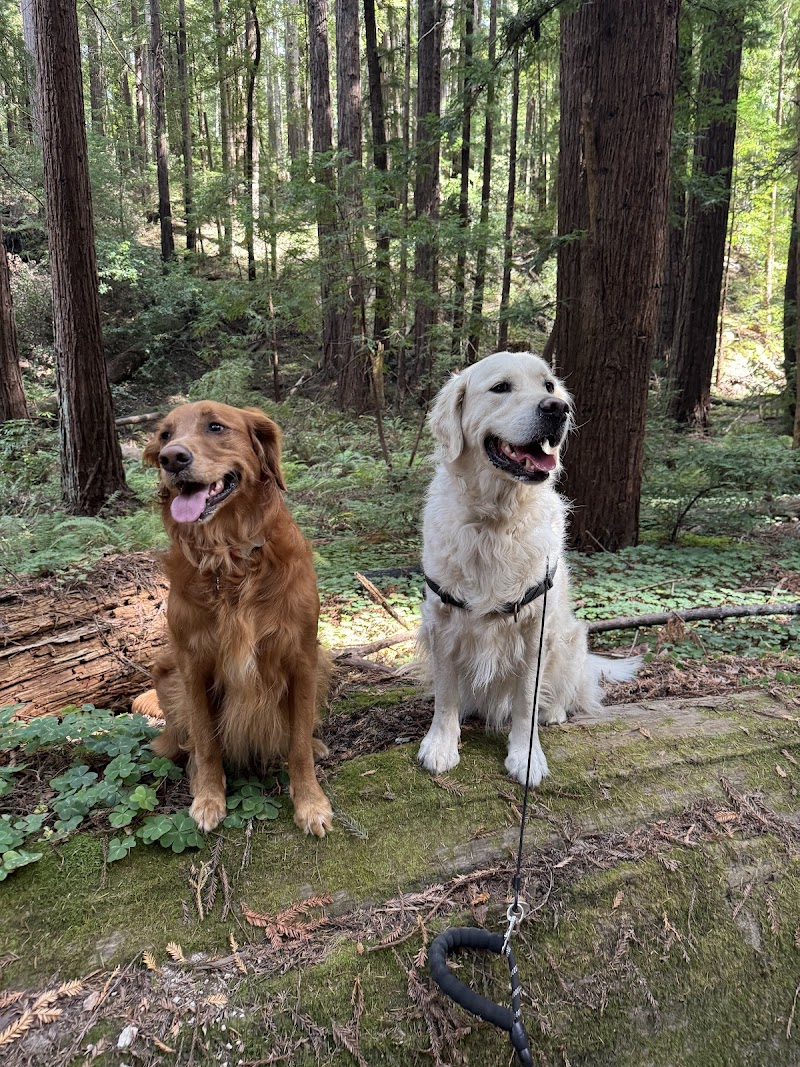 Peninsula Tails on Trails photo 2