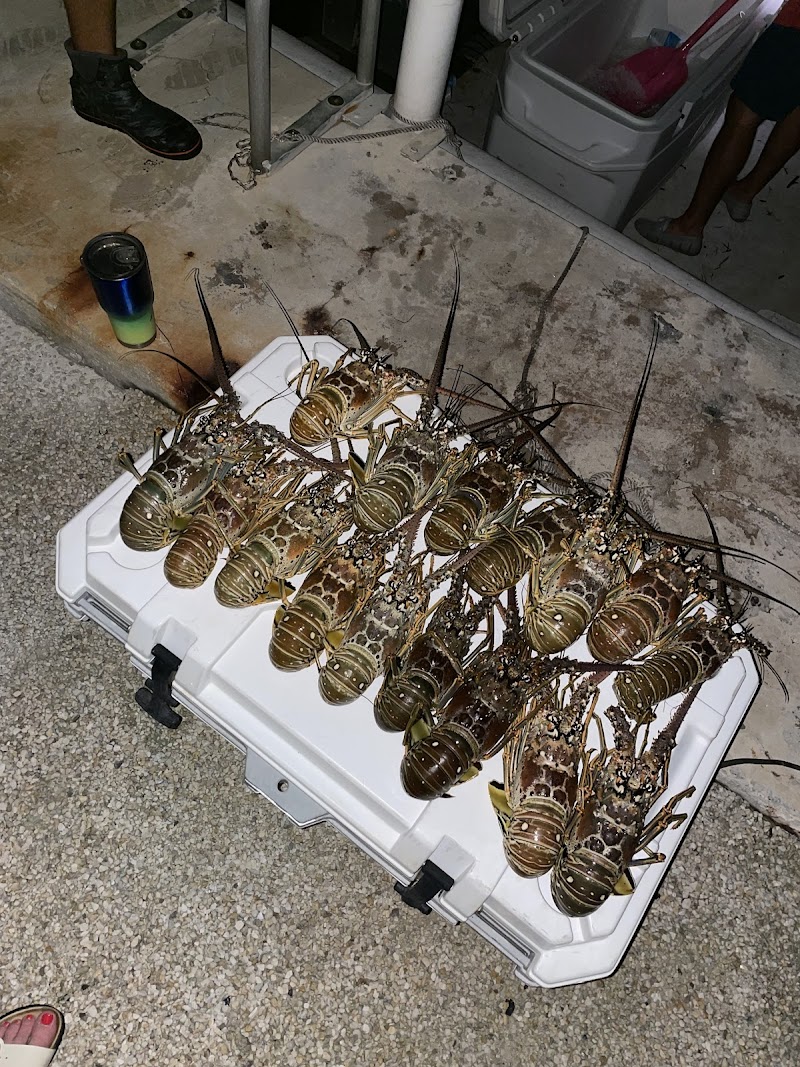 Night Tide Charters Bowfishing & Spearing photo 4