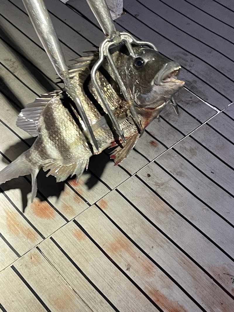 Night Tide Charters Bowfishing & Spearing photo 3