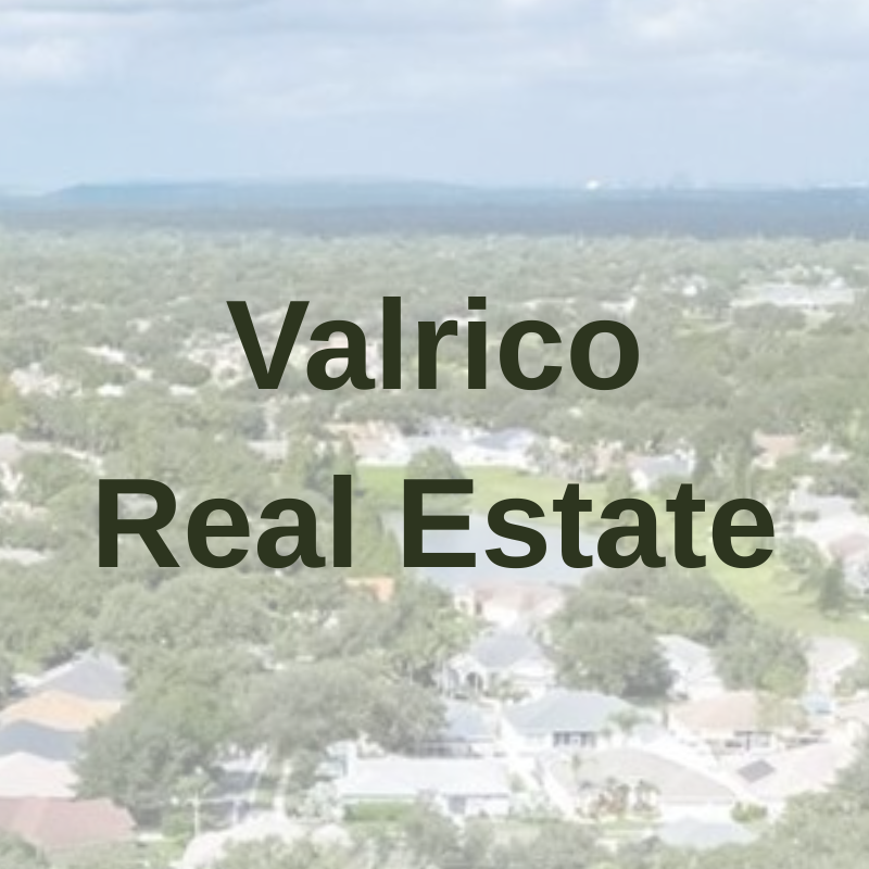 Photo of Valrico Real Estate Agent | Property Management | REALTORS