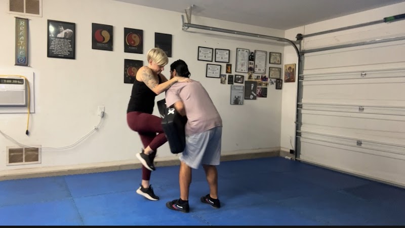 Istance Self Defense photo 3