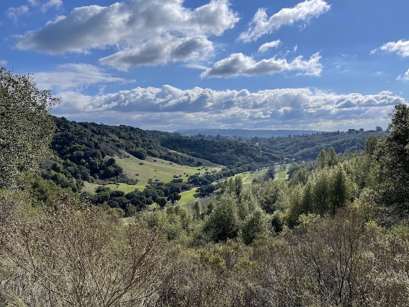 Lake Chabot Regional Park photo 4