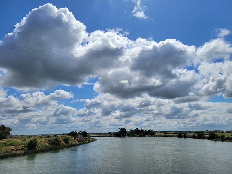Three Mile Slough Bridge photo 5