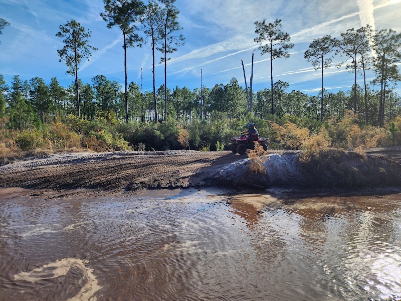 Osceola National Forest Dual Sport Trails photo 4