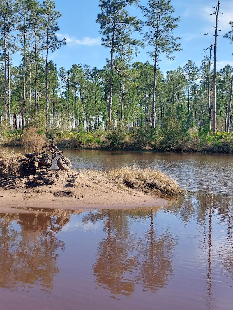 Photo of Osceola National Forest Dual Sport Trails