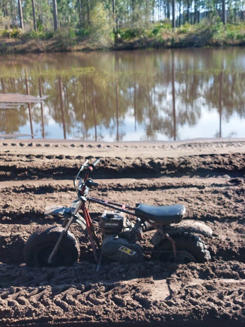 Osceola National Forest Dual Sport Trails photo 5