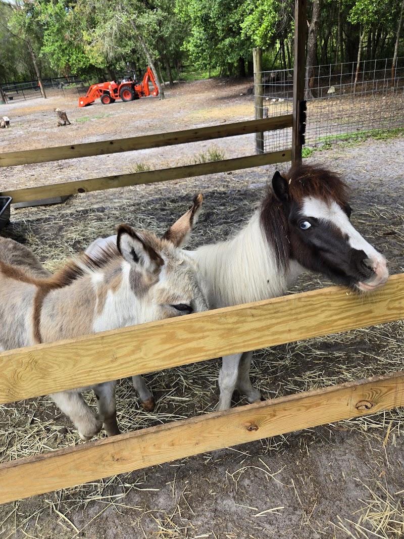 WaffleFamily Farm photo 4
