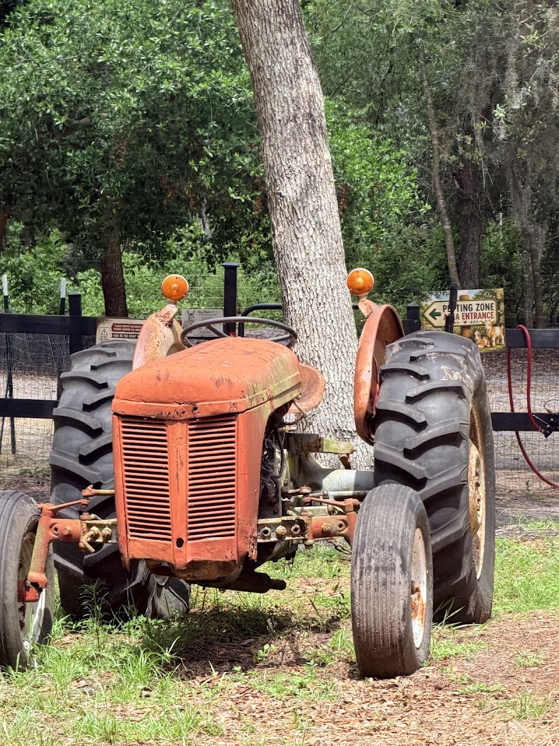 WaffleFamily Farm photo 2