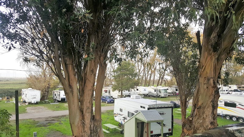 Eddo's Harbor & RV Park photo 3