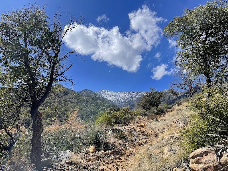 Photo of Noon Creek Picnic Area