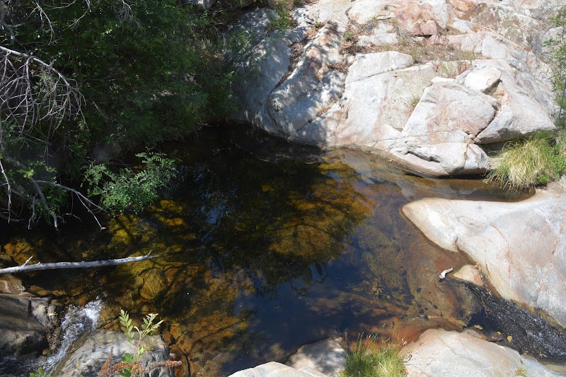 Noon Creek Picnic Area photo 5