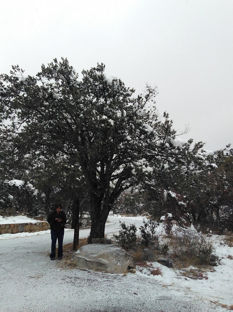 Noon Creek Picnic Area photo 3