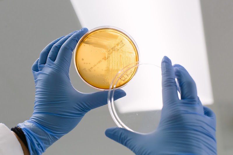 Emery Pharma photo 4