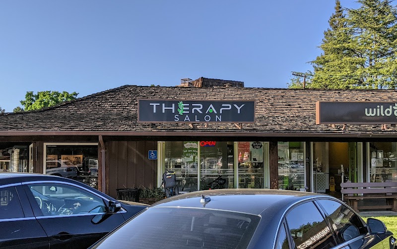 Therapy Salon Aveda Concepts photo 4