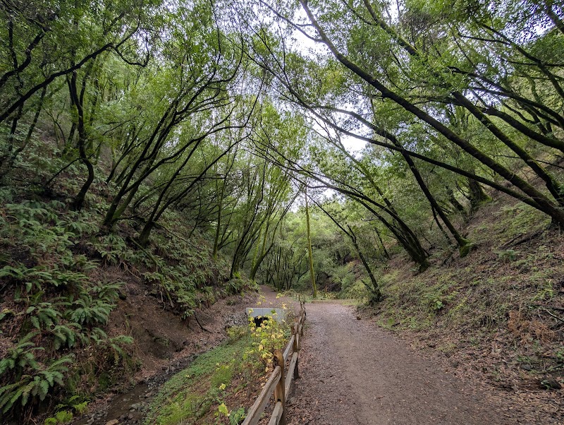 Photo of Lower Pinehurst Trailhead