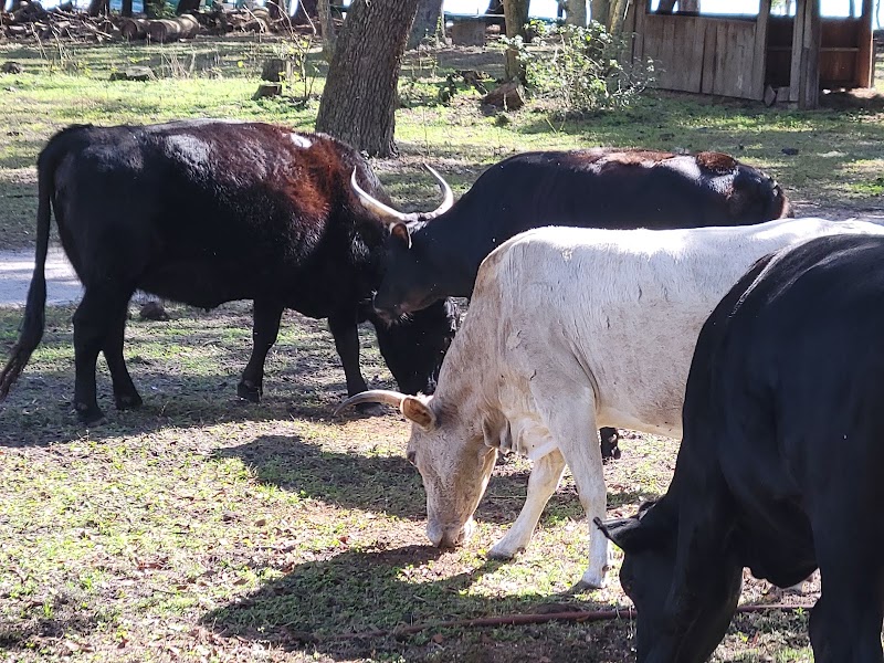 Old McMicky's Farm photo 5