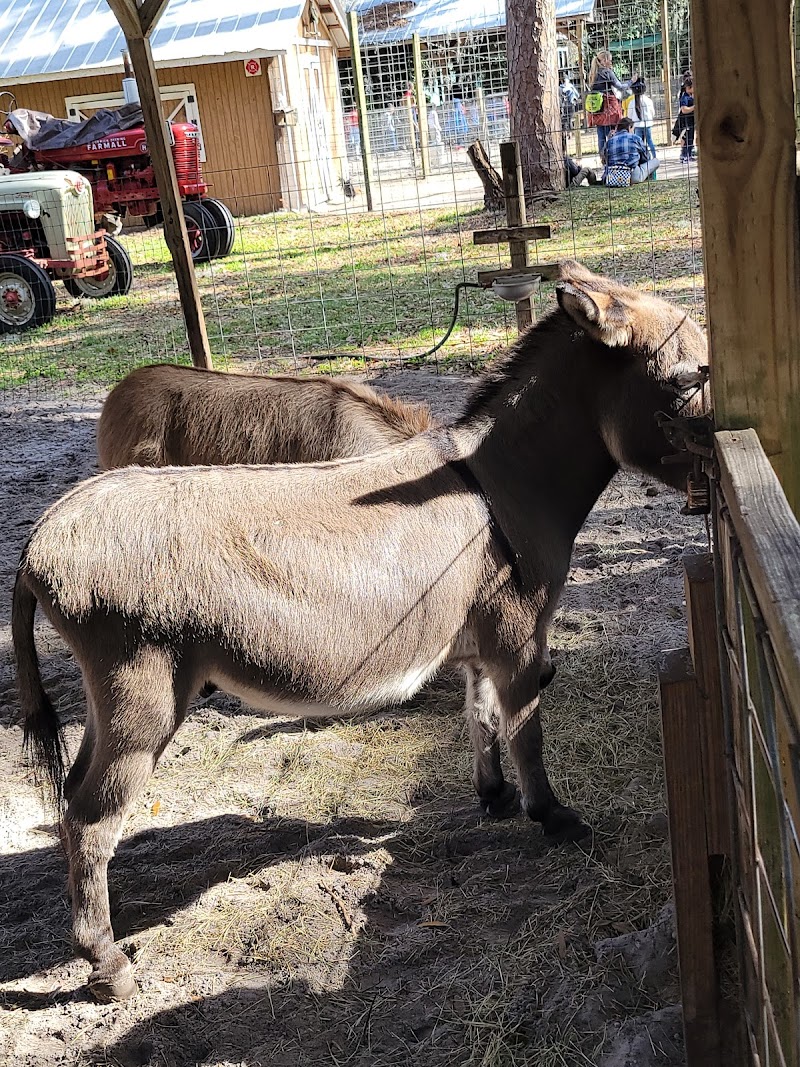 Old McMicky's Farm photo 4