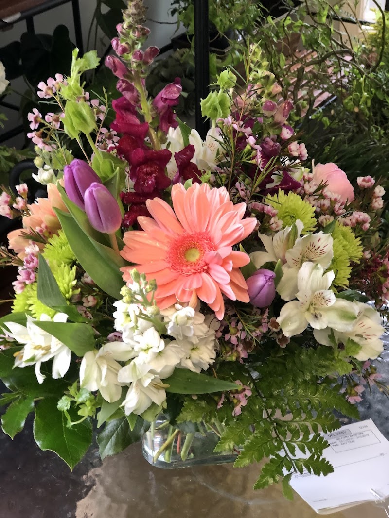Danville Florist & Gifts plants photo 5